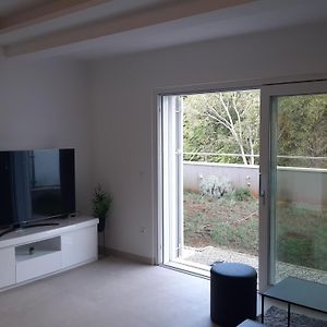 Apartment Duby Lapad