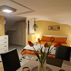 Maison 1 Chambre
