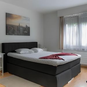 Modern Apartments In The Heart Of Lausanne