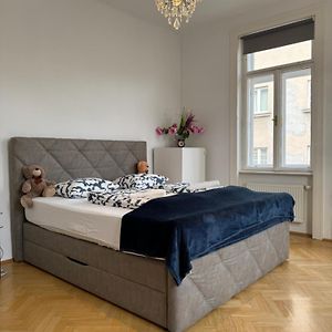 Cozy Apartment Near Schoenbrunn 17