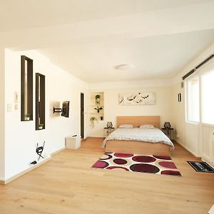 Studio-Balcon Center Of Mons