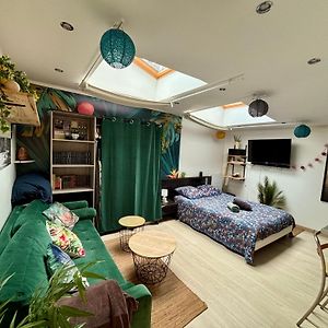 Jungle Studio - 2P A 4P -Henriville