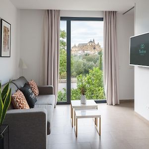 Appartement Supérieur à 1 Chambre à Coucher