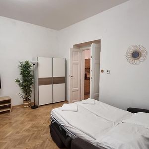 Apartment Krakovska 20