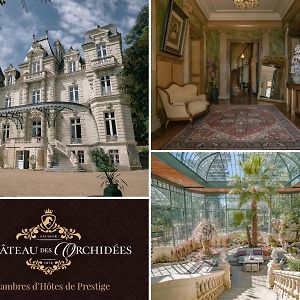 Chambres d'hôtes Château Les Orchidées SAUMUR