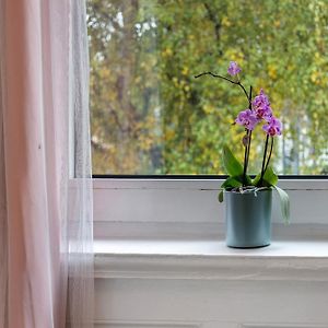 Appartement Supérieur à 2 Chambres à Coucher