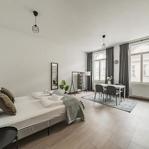 Perfect Apartment In Vienna