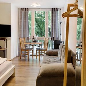 Appartement Supérieur à 1 Chambre à Coucher