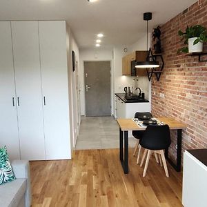 Halicka Apartment Free Parking By Citybeat