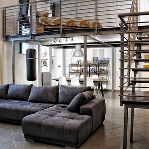 Loft Gab 50