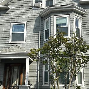 Homestay Near Downtown Boston - Andrew Station Area