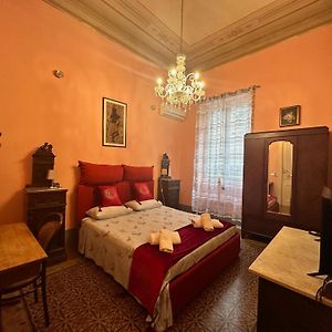 Chambre Standarde Lit King-Size