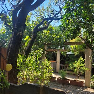Petit Chalet 