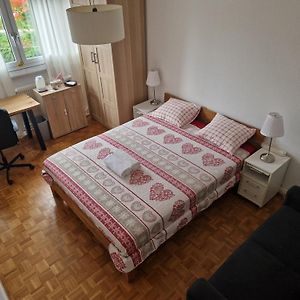 Room In Shared Apartment Geneva