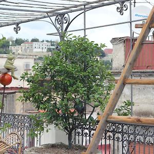 Lemon Tree Terrace