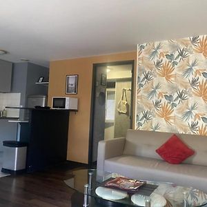 Appartement à 1 Chambre à Coucher