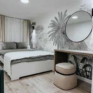 T37 Suite