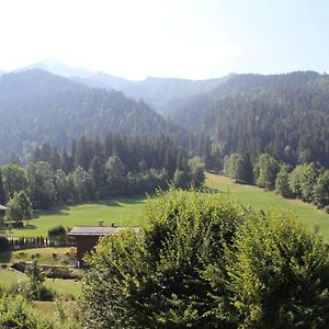 Appartement La Clusaz, 4 pièces, 7 personnes - FR-1-459-167