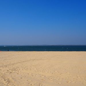 Appartement T2 Avec Terrasse Proche Centre Et Plage D'Arcachon - Fr-1-474-230