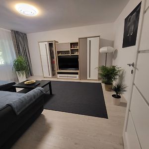 Appartement de Luxe à 1 Chambre à Coucher