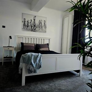 Appartement Premier à 1 Chambre à Coucher