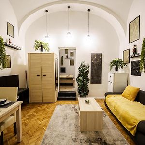 Old Fashion Downtown Parlament Apartment
