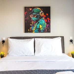 Studio Lit Queen-Size