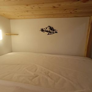 4-6 Pers Ski Pieds Belle Plagne Les Gemeaux