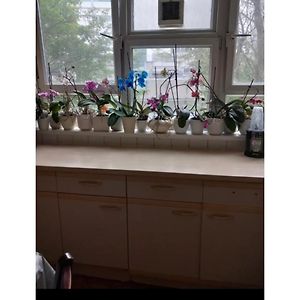 Room In Friendly Apartment Central London