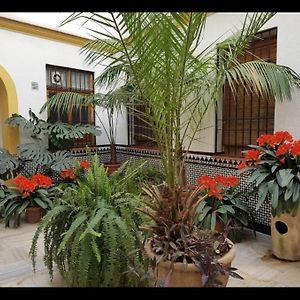 La Casa De Tachi