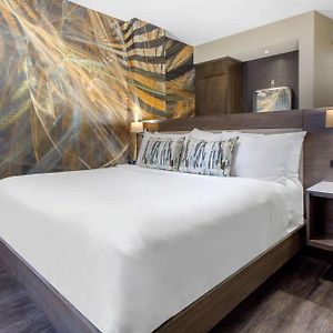 Chambre Lit King-Size avec Accès aux Personnes Handicapées