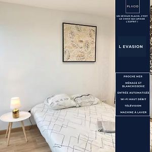 Studio Lit King-Size