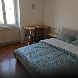 Appartement Entier, Proche Tram-Train Et Commodites, Parking Gratuit