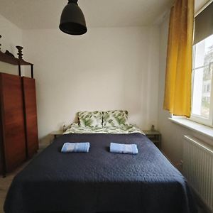 Parrot'S Apartment