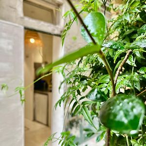 Studio Centre Paris Calme Cosy