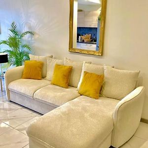 Toulouse Vaste Appartement Tres Lumineux