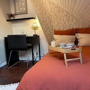 Lerelaisdodile - Suite Studios Confort - Ideal Pro & Couple - Lille Vauban
