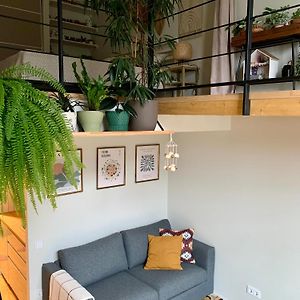 Vilnius Cozy Loft