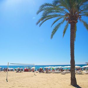 Hb Apartments - Mercado Central - Rambla Alicante - La Suite De La Playa