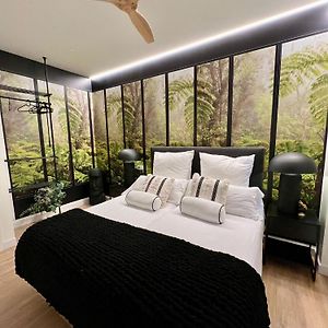 Bilbao North Shore Apartments 4