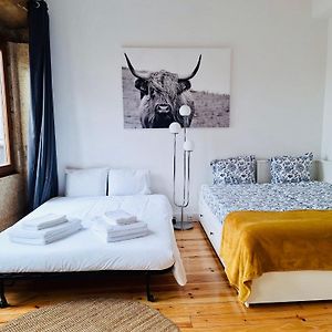 Charming Studio With Rooftop In Porto