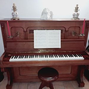 Domus Gelsomino