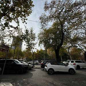 Essentia Tirana Studios