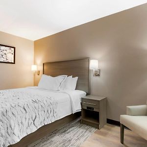 Chambre Standarde Lit Queen-Size