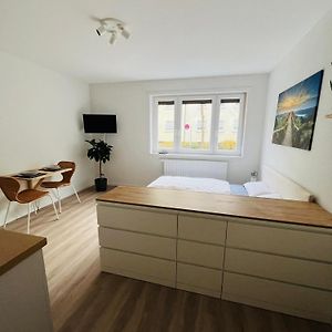 Black Forest City Apartment Mit Kostenlosem Parkplatz