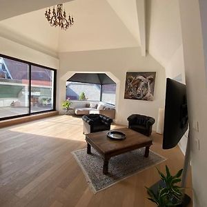 Les Murmures Des Toits - Hypercentre - Garage Prive