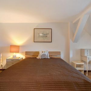 Appartement Supérieur à 1 Chambre à Coucher
