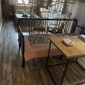 Marvellous Attic Studio In The Old Town