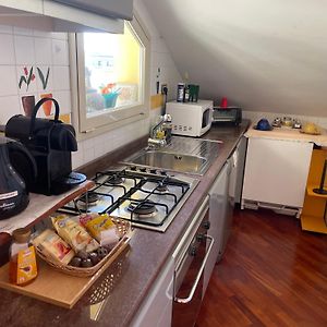 Trastevere Lenci House