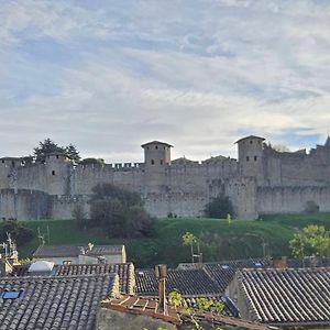 Vue Cite Medievale Castel View